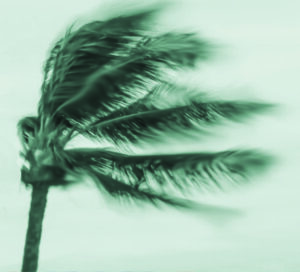 time to revisit and refresh your emergency plan
